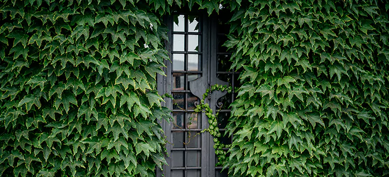 Garden Gate Repair in Miramar, FL